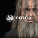 Ornatrix Maya / 3ds Max / Cinema 4D