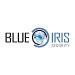 Blue Iris 5.4.6.3 + key