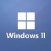 Windows 11 Installation Assistant 1.4.19041.1703